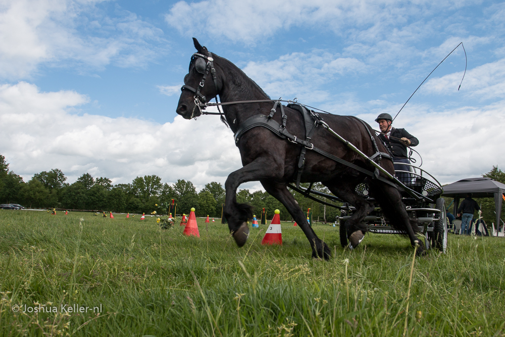 MG-7985vaardigheid-dressuur-nienoord-2022