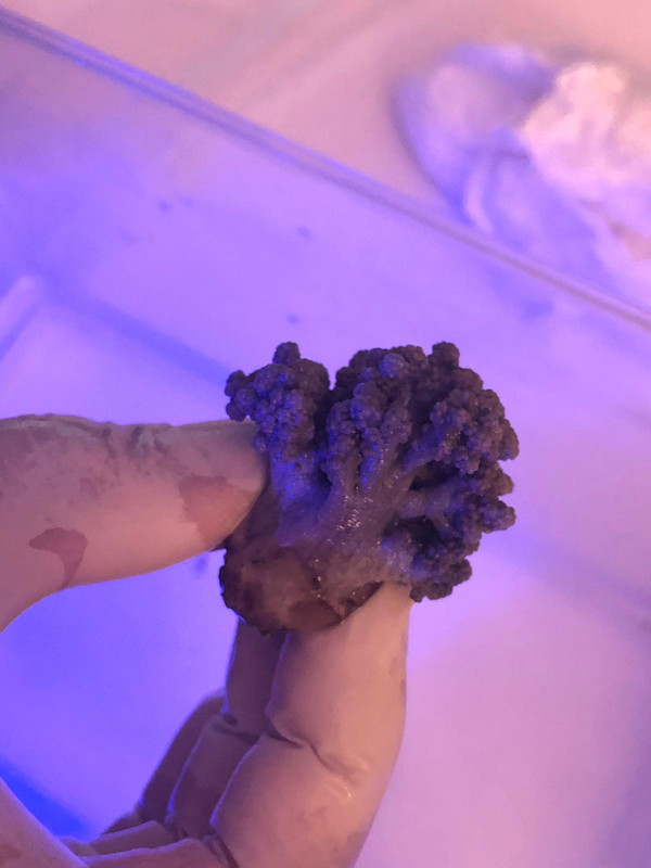 40024BF4-4C59-48E6-B4BC-213CE922CDA9