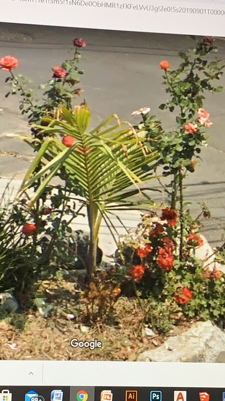 35185E0C-ACCB-42BC-B073-F31F9D436A51