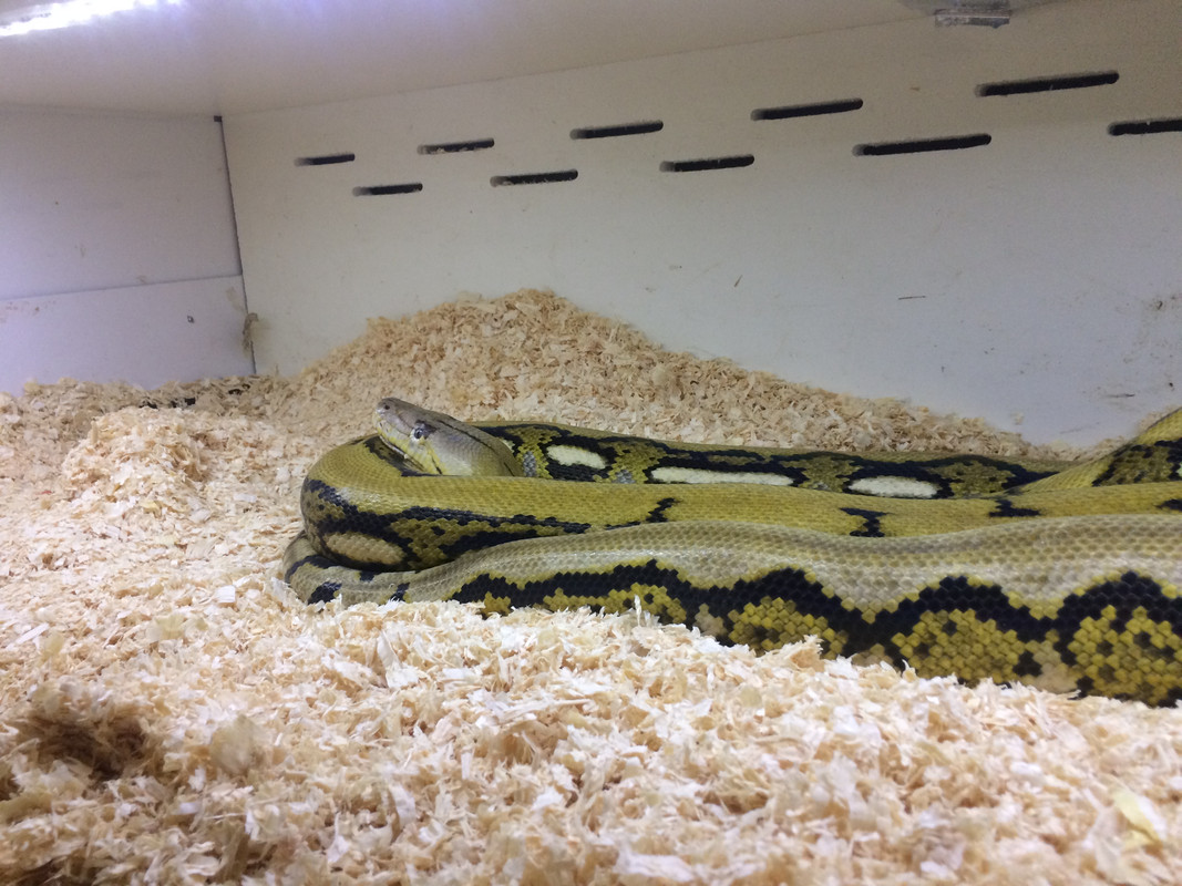 5888748C-77AA-4EED-97AE-74FE804E6F25