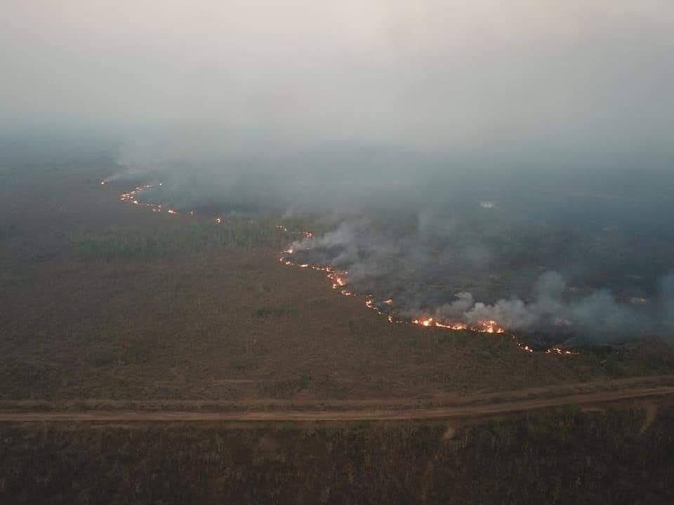 Hutan Amazon mengalami kebakaran teruk