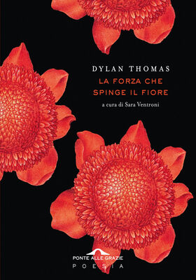Dylan Thomas - La forza che spinge il fiore (2025)