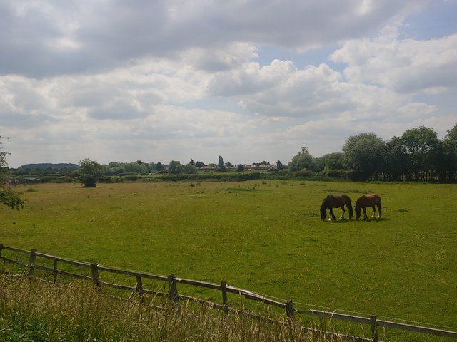 20220614-135106.jpg
