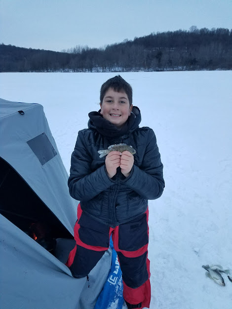 BLUEGILL 1