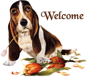 Welcome-Bassett