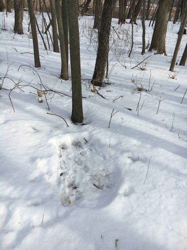 96555C73-11F4-4ED7-A05A-BB83F0454E58