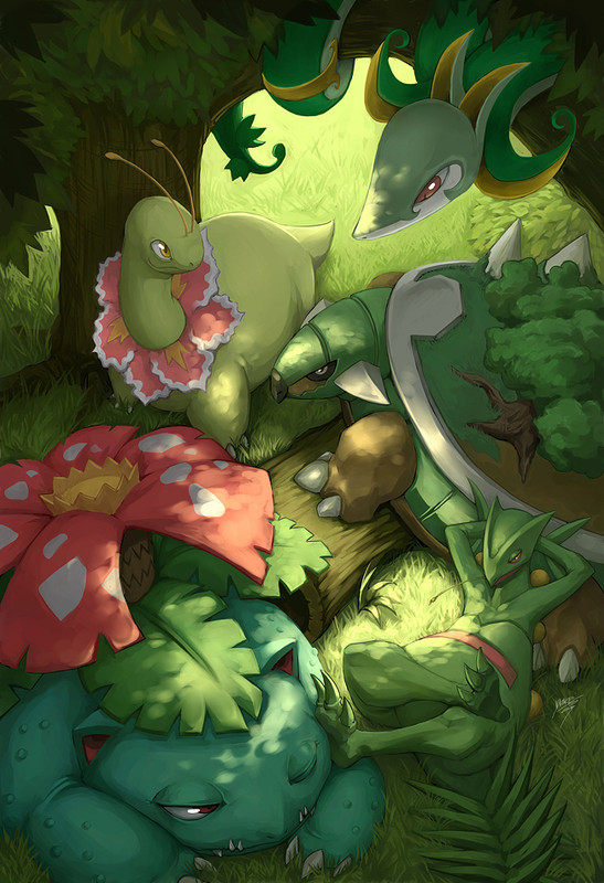 venusaur-serperior-sceptile-meganium-and