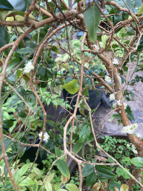 77204836-5A60-4B16-9CAF-D37177B3B1F2