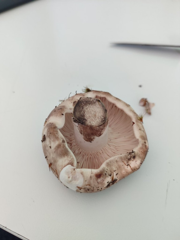 WhatsApp Image 2024-09-10 at 18.34.43 (1)