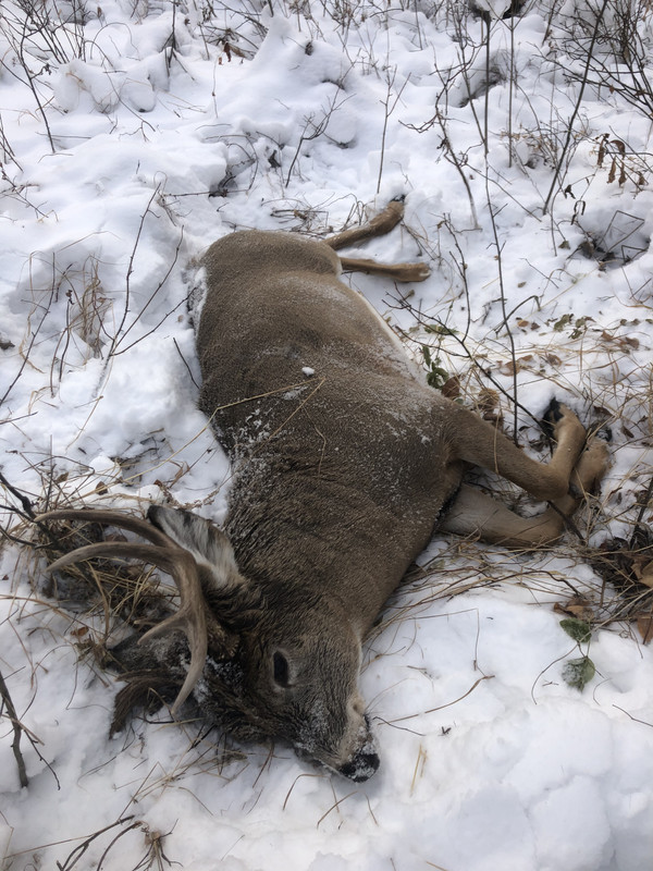 21921FEB-92AD-4A67-B906-2C04C88A68A1