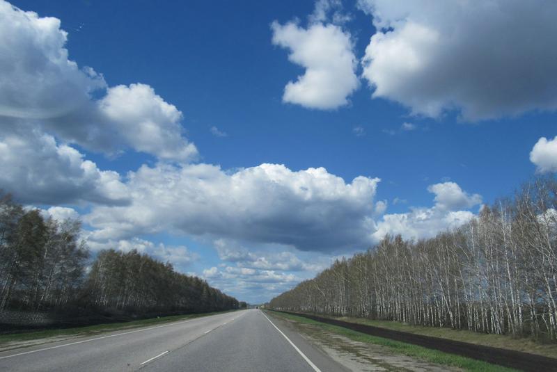 IMG-4809.jpg