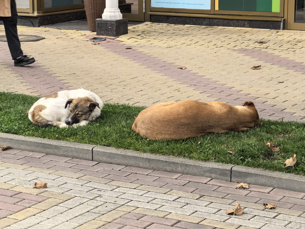 Октябрь уж наступил, 