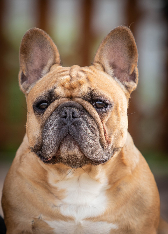 ,,,,,,,,,,,,,,,, (1 из 1)