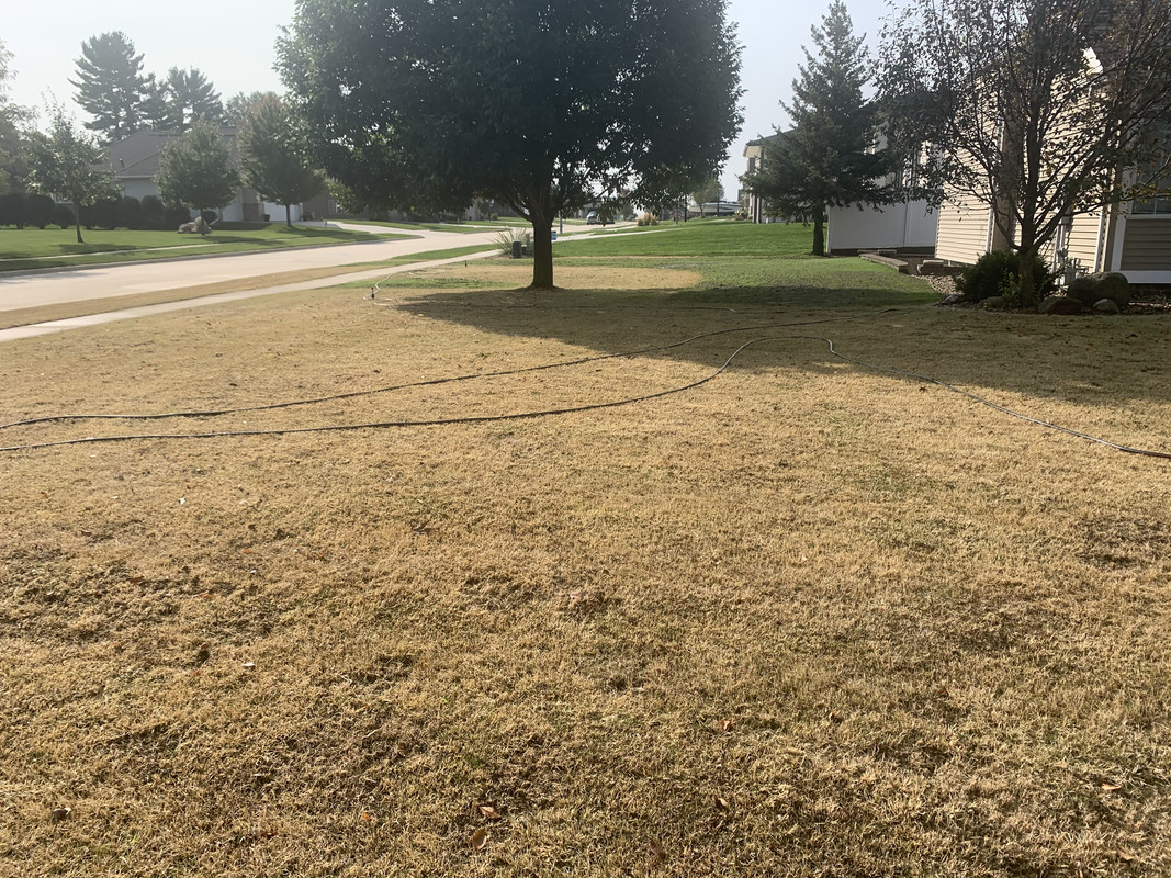 6B65120E-C2F4-436E-92E7-41ABE63B4F1B