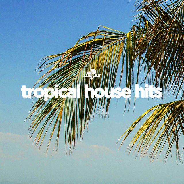 VA-Southbeat Pres Tropical House Hits-WEB-2020-NDE Scarica Gratis