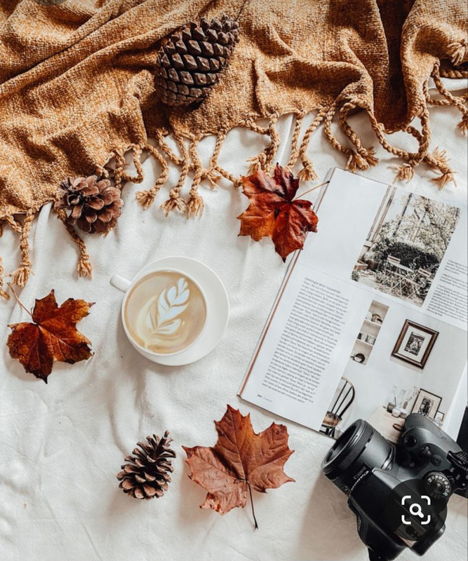 Screenshot_20230923_172930_Pinterest