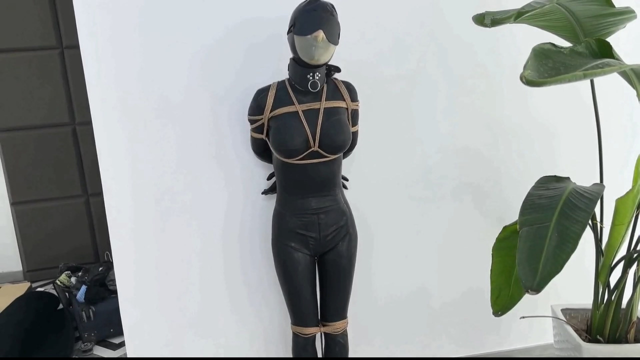 窒物者 真·全程高能.mp4_20250806_090322.192