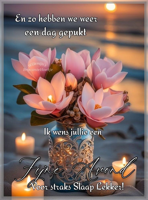 274cc8fcd6e338b8c4a5ecd1b4f343fb