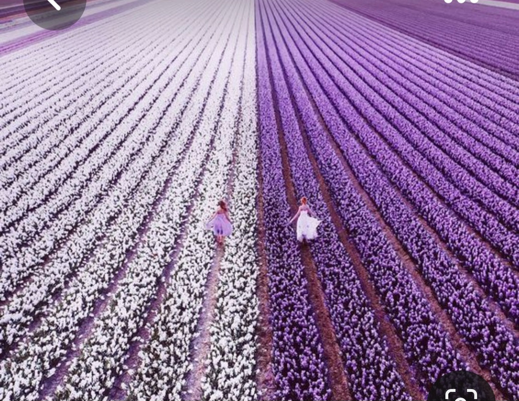 Screenshot_20230422_020155_Pinterest