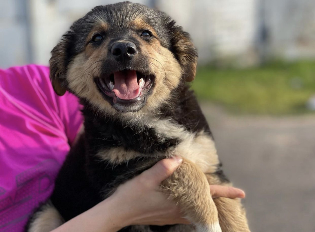 903481B5-150C-4227-BEFE-164CA4A9BC26