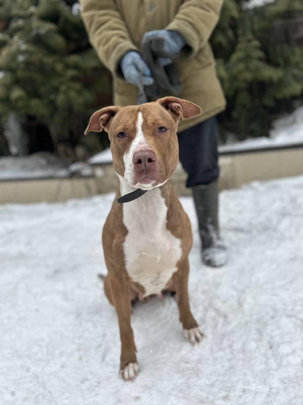 09DD1E2D-F12D-4389-8262-A36FCCCA7FD3