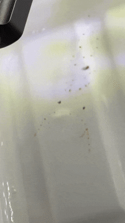 GIFs-28