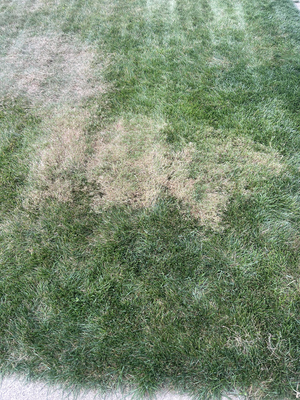 C90BA576-5F2B-4AF9-8C84-2765DD28E85F