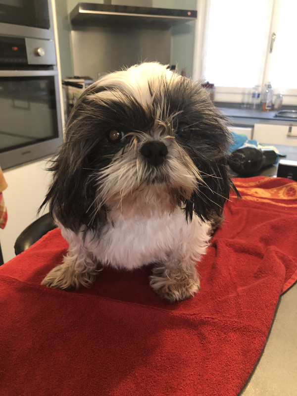 [Image: 2993-E5-AE-9-E46-4-F3-D-9074-974300-DDE5-F4.jpg]