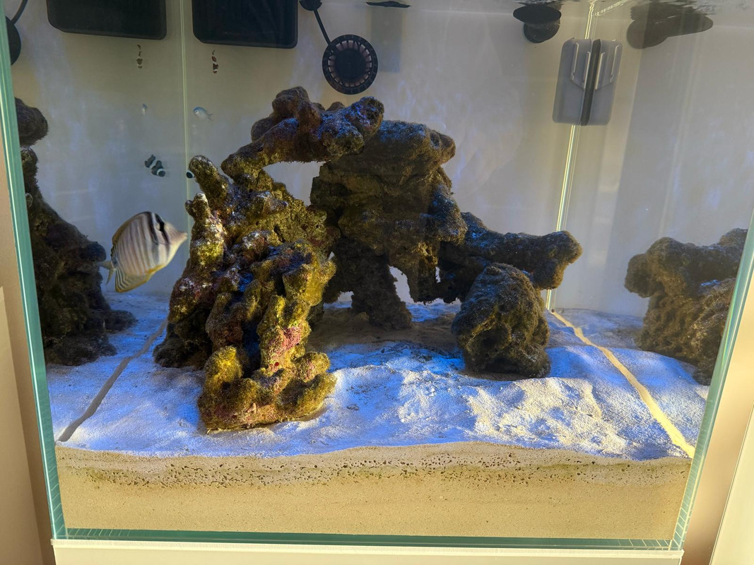 WhatsApp Image 2025-03-06 at 08.32.50 (1)