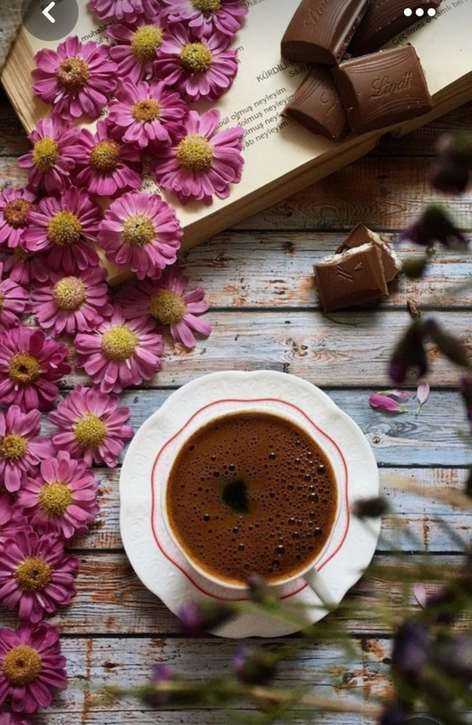 Screenshot_20230330_005316_Pinterest