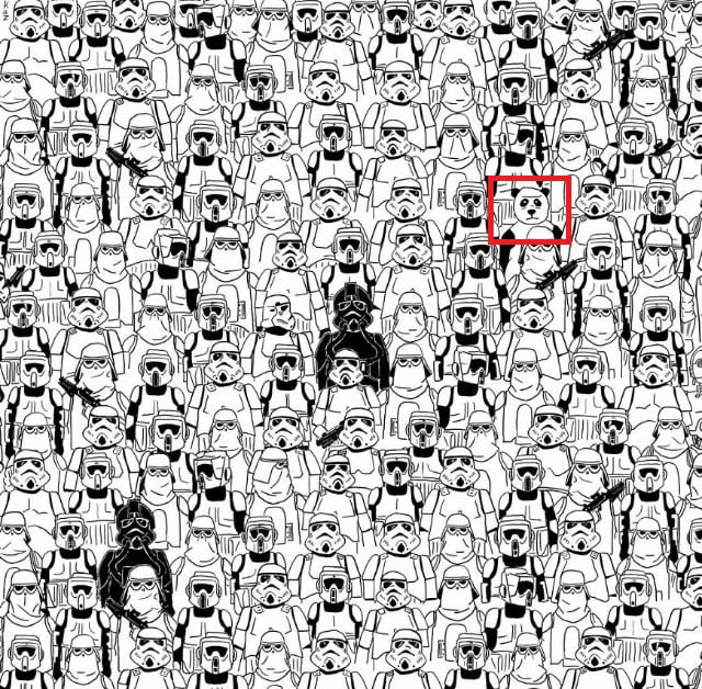 Find-Panda.jpg