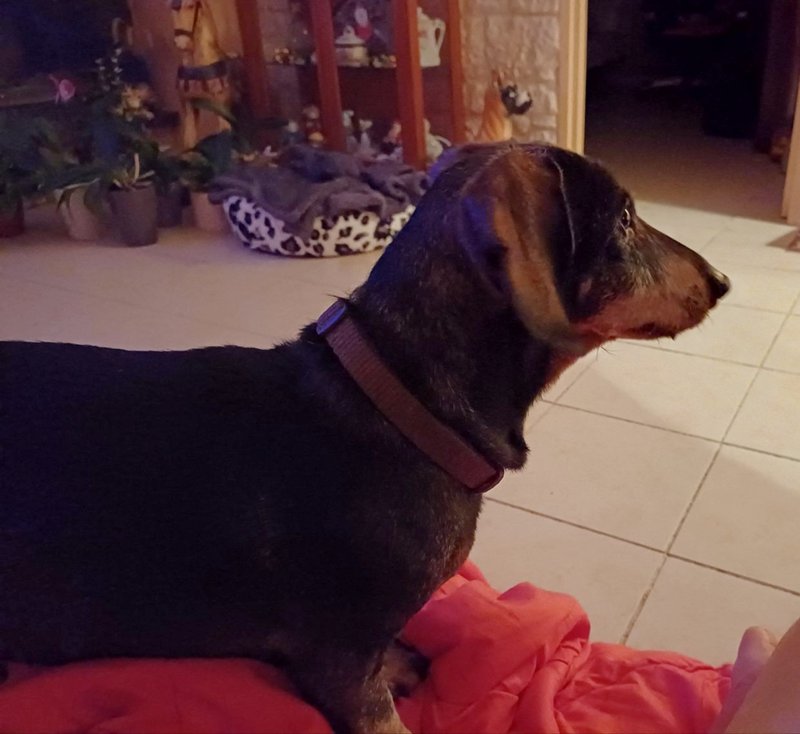 [Image: 20240212-194058.jpg]