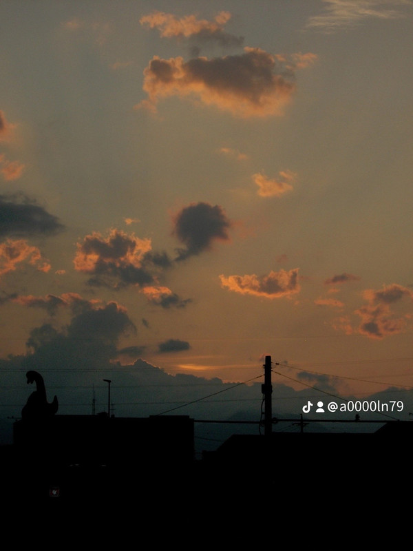 photo 47 2026 01 03 21 17 28