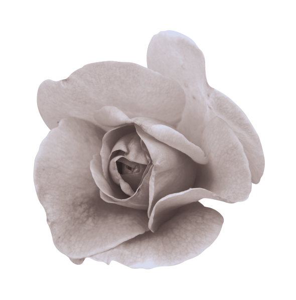 BIBI-PRINCESS OF GREECE ELEM (28)