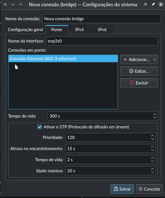 BigLinux_rede Bridge_NetworkManager_Virt-Manager_08