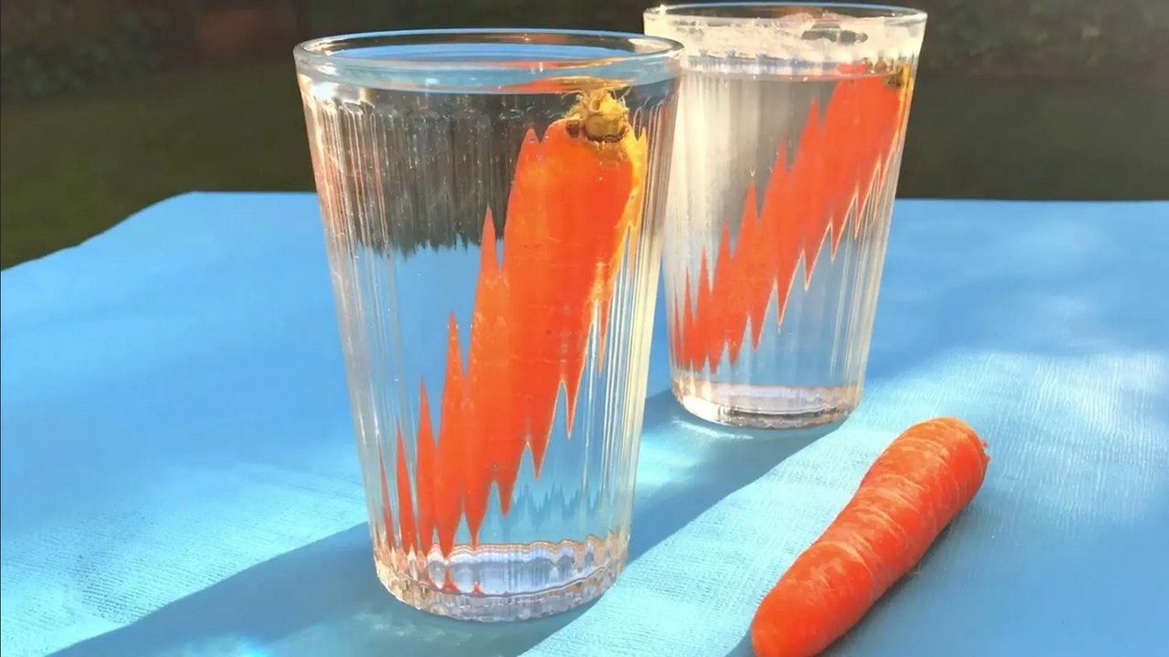 Recupera la dureza de las zanahorias blandas con este truco infalible