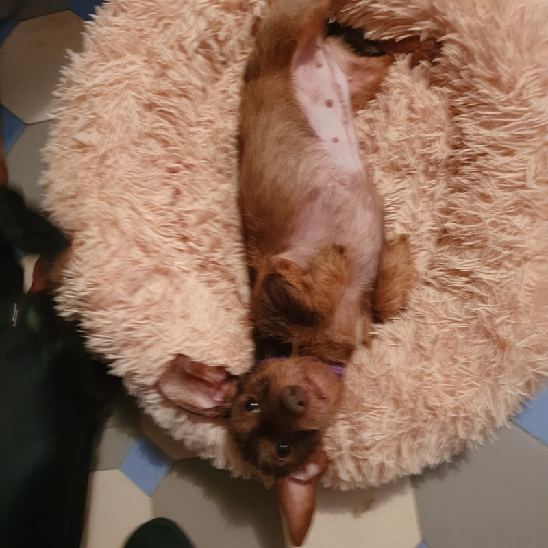 [Image: 20220104-103726.jpg]