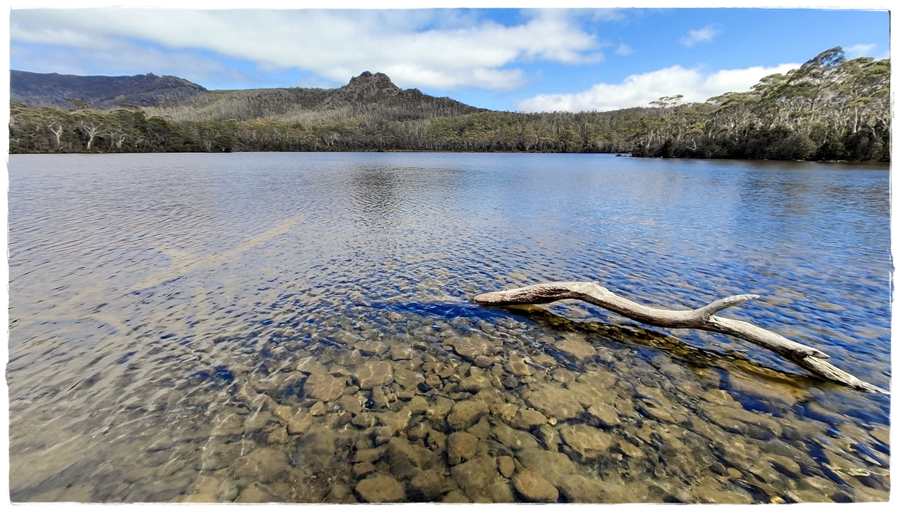 Lake St Clair National Park - Australia (II): Recorriendo Tasmania (9)