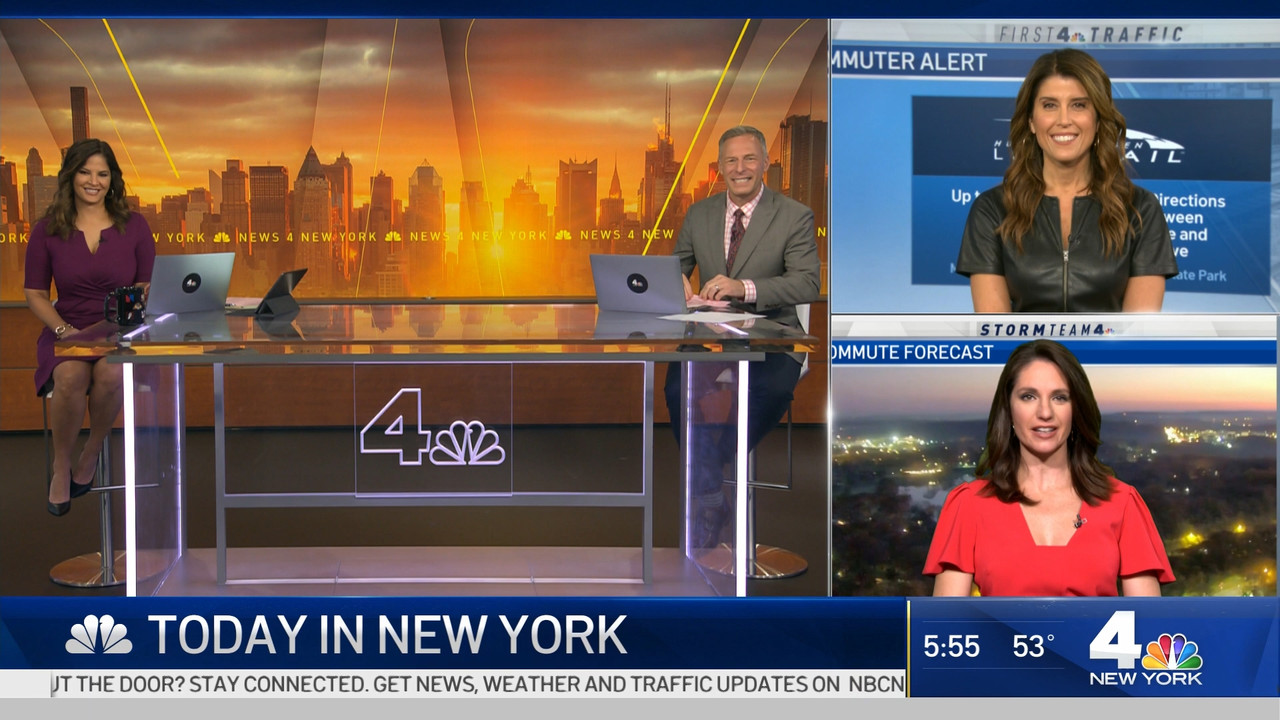 11.09 - 10.00.00 - Today in New York..ts_snapshot_00.57.18.138