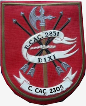 CCac2305