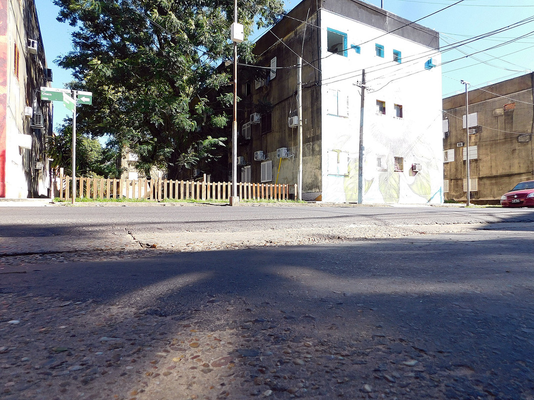 DSCN0055.jpg