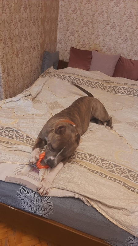 20D3AAF2-5654-4E95-8779-C11D6E6272D5