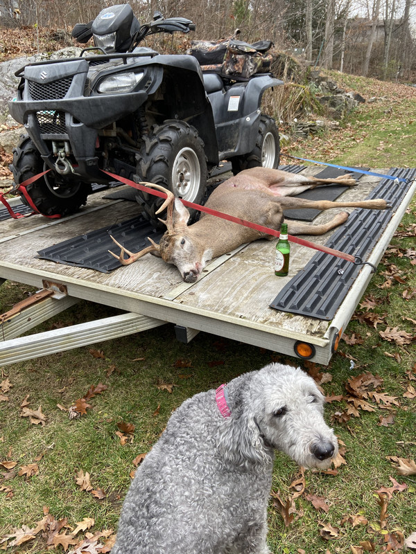 943E09D1-368D-4F1C-BCC6-B8E21691D044