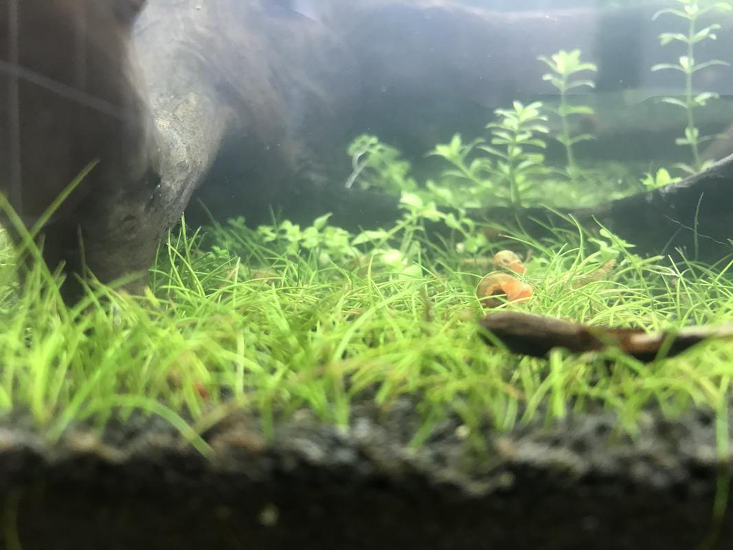 FD0AB2DF-685D-41B9-8434-B9874B386BD0