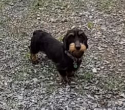 [Image: 20230620-081018.jpg]