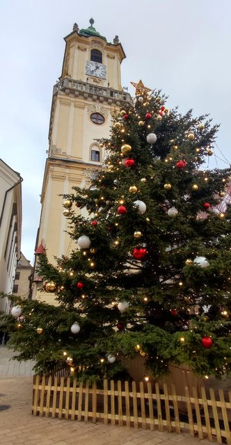 Viena - Bratislava - Praga, Navidad 2024 - Blogs de Europa Central - A Bratislava en tren y Palacio Belvedere. (11)