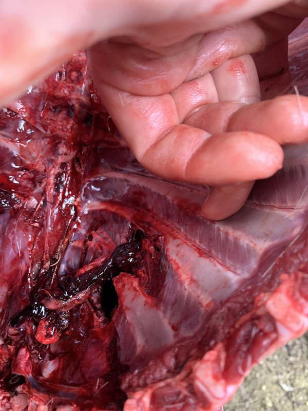 04D1DBC4-5E1F-43AF-918D-102A00E09279