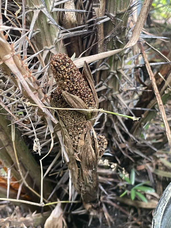 0948AF13-AFD6-4E31-9868-70373E3BE053