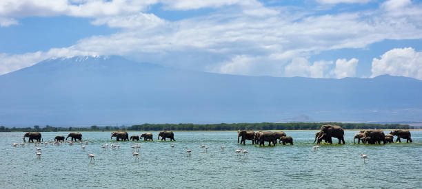 luxury-African-safari-5.jpg