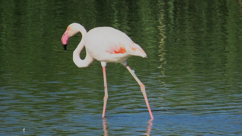 WhatsApp Image 2025-10-07 at 19.53.28_a8004402